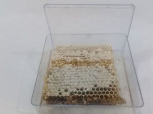 عسل موم دار کریستالی