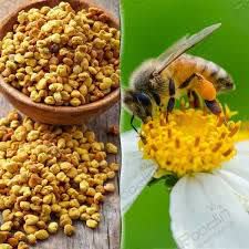 photo_2025-12-14_03-57-47